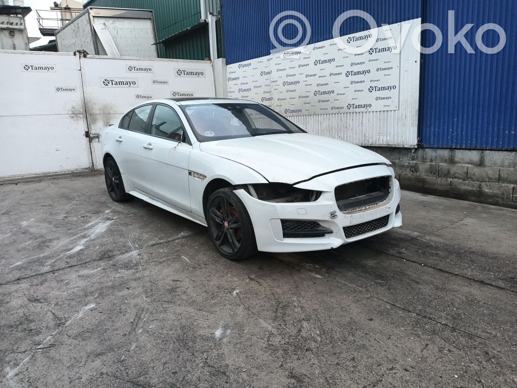XE XE  T4N14910