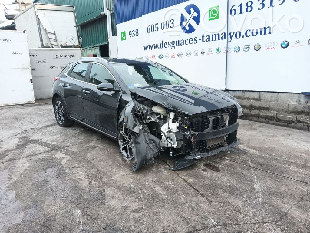 Xceed XCeed  3926003610