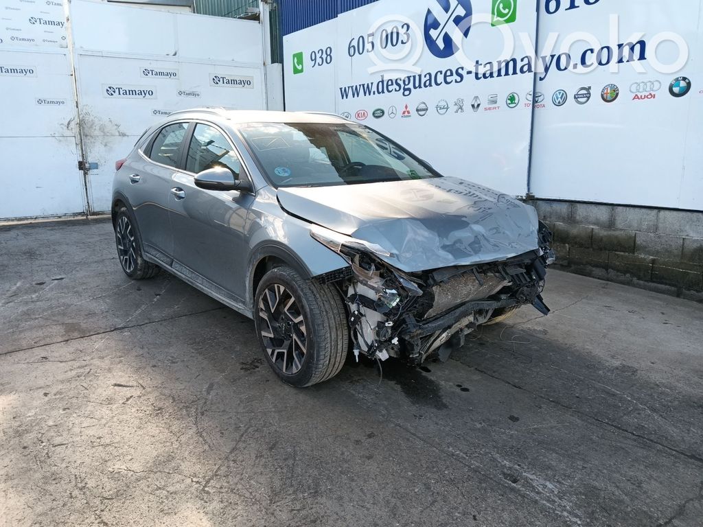 Xceed XCeed  6440388