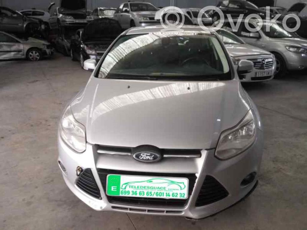 Focus Focus  D75200134D