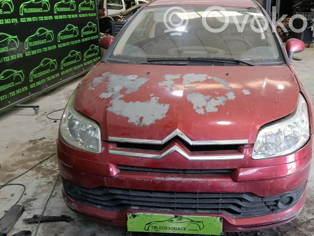 C4 I C4 Picasso, Grand Picasso, Aircross, Cactus  0265005486