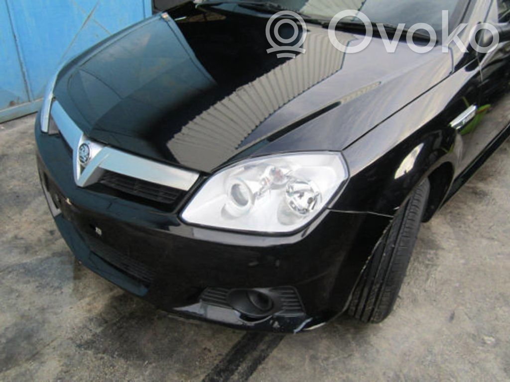 Tigra B Tigra