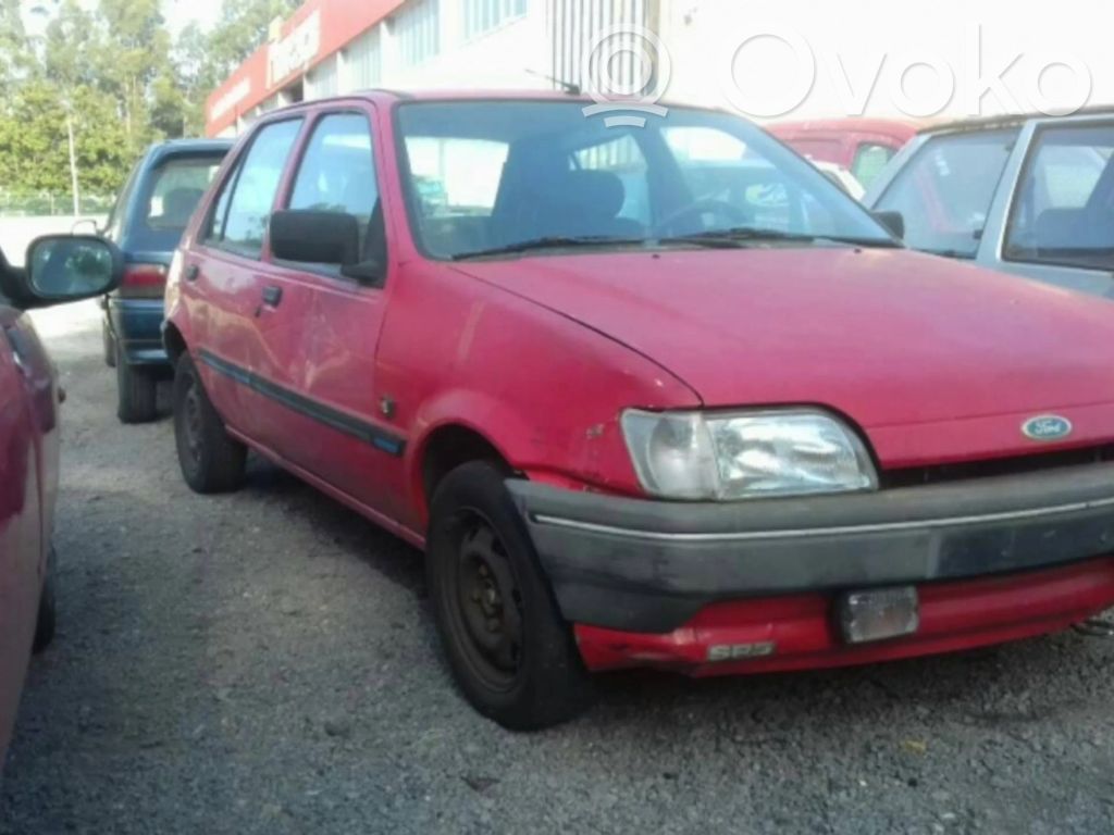 Fiesta Fiesta