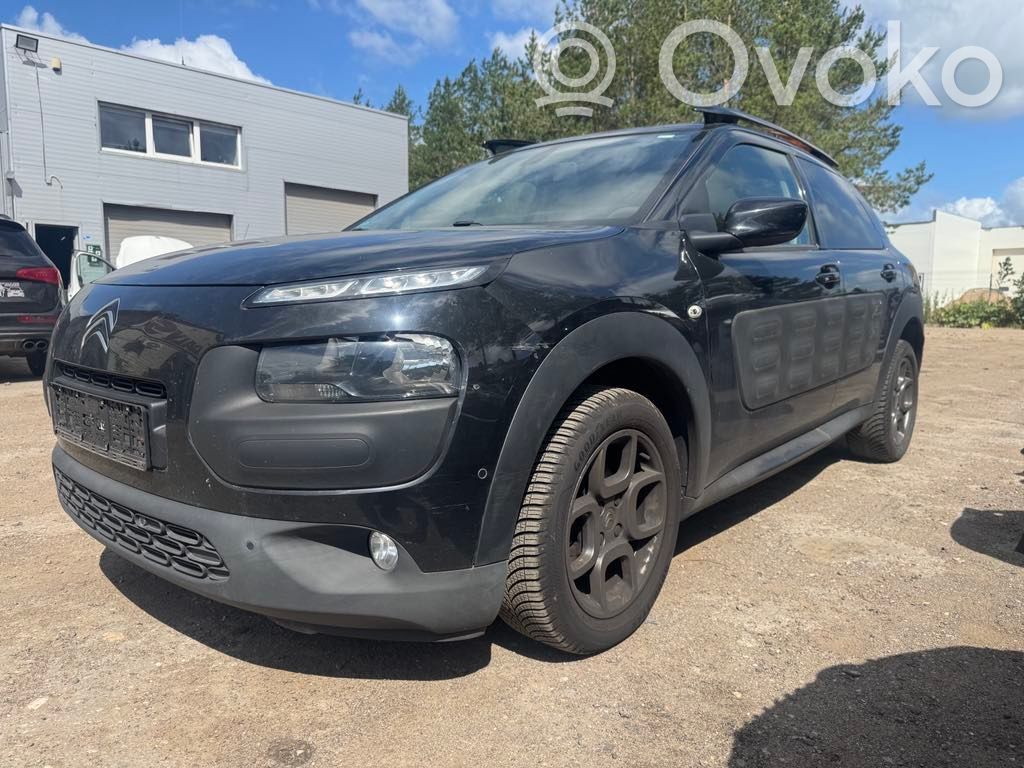 C4 Cactus C4 Picasso, Grand Picasso, Aircross, Cactus  9801686677