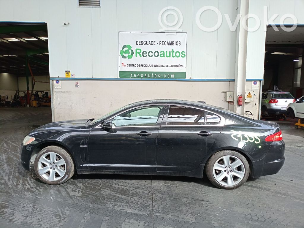 XF X250 XF  8X2313405BC
