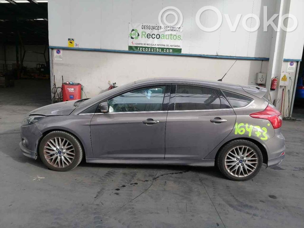 Focus Focus  1755032