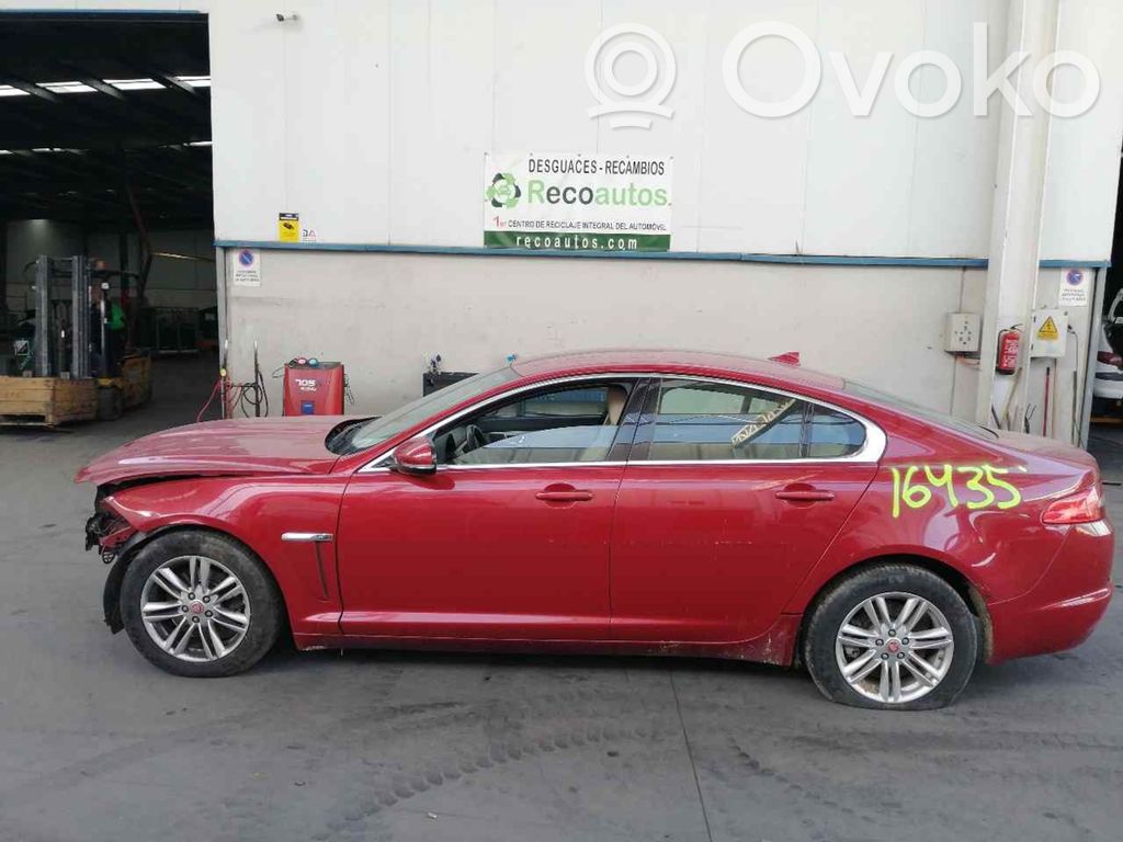 XF X250 XF  CX239D375BA