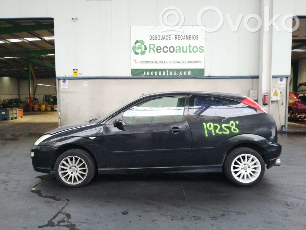 Focus Focus  4555048