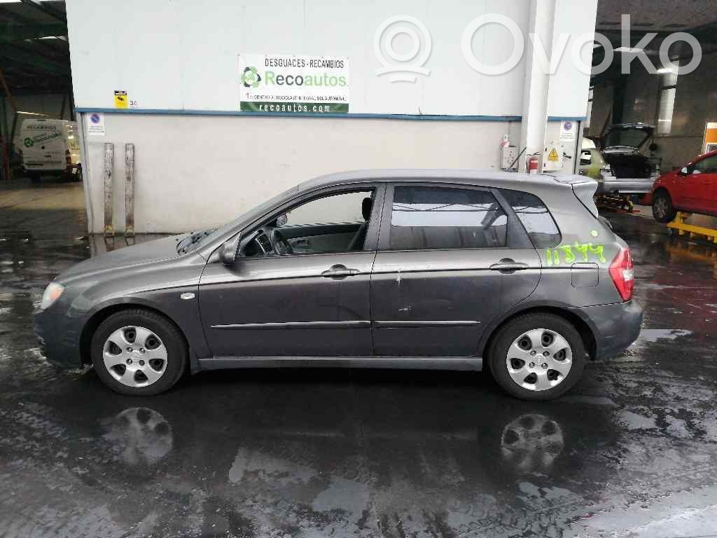 Cerato Cerato  770032F010