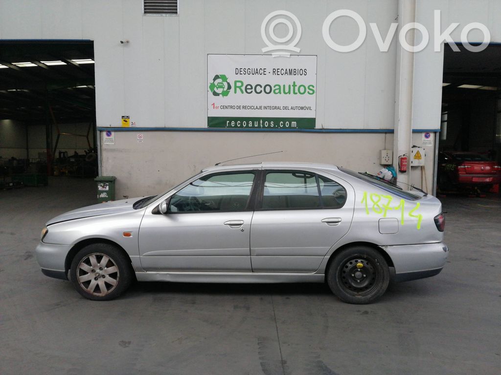 Primera Primera  255602F700