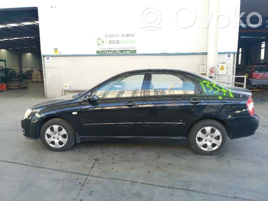 Cerato Cerato  770032F010