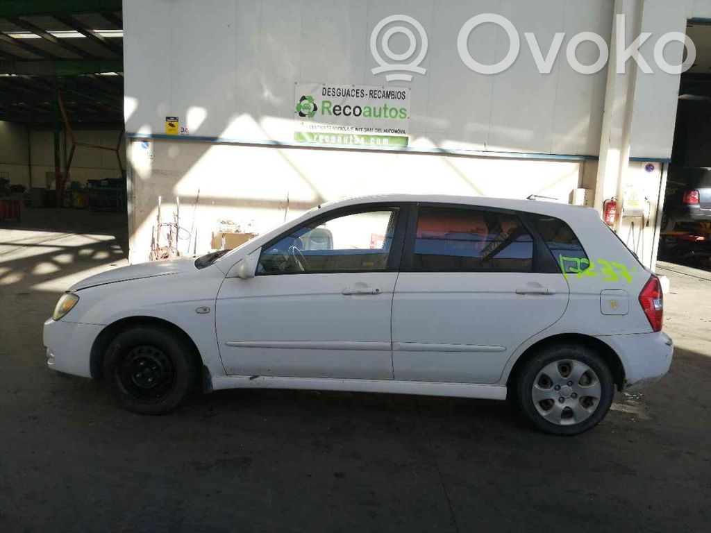 Cerato Cerato  3912026740