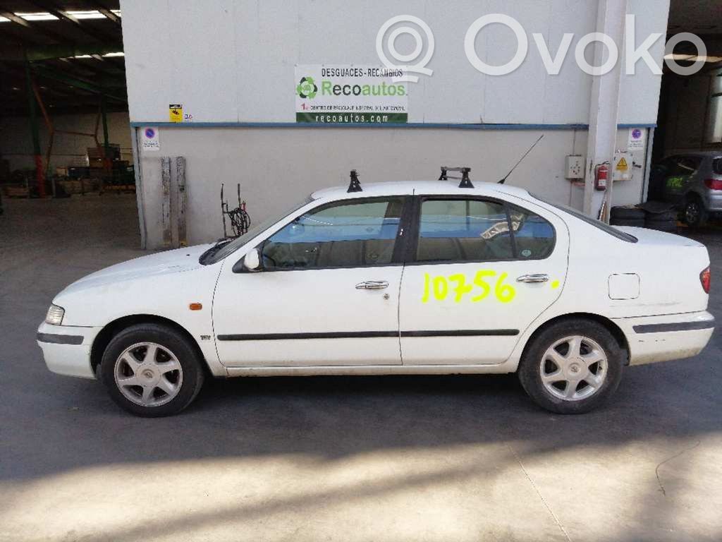 Primera Primera  LSH24