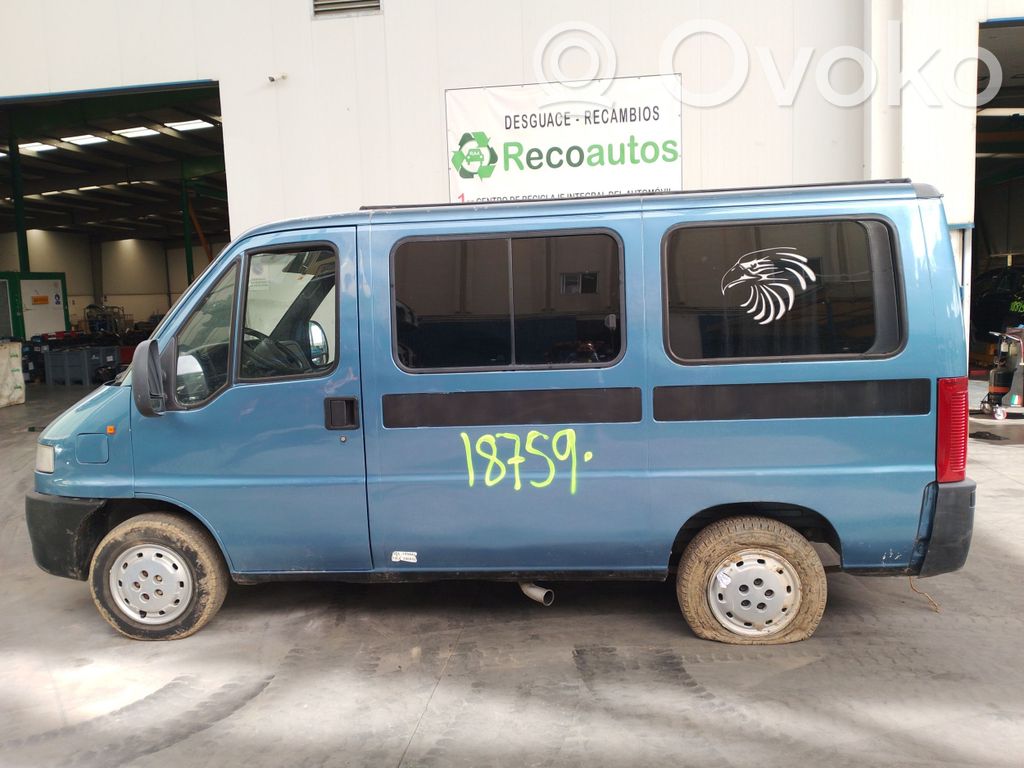 Boxer Boxer  7841E7