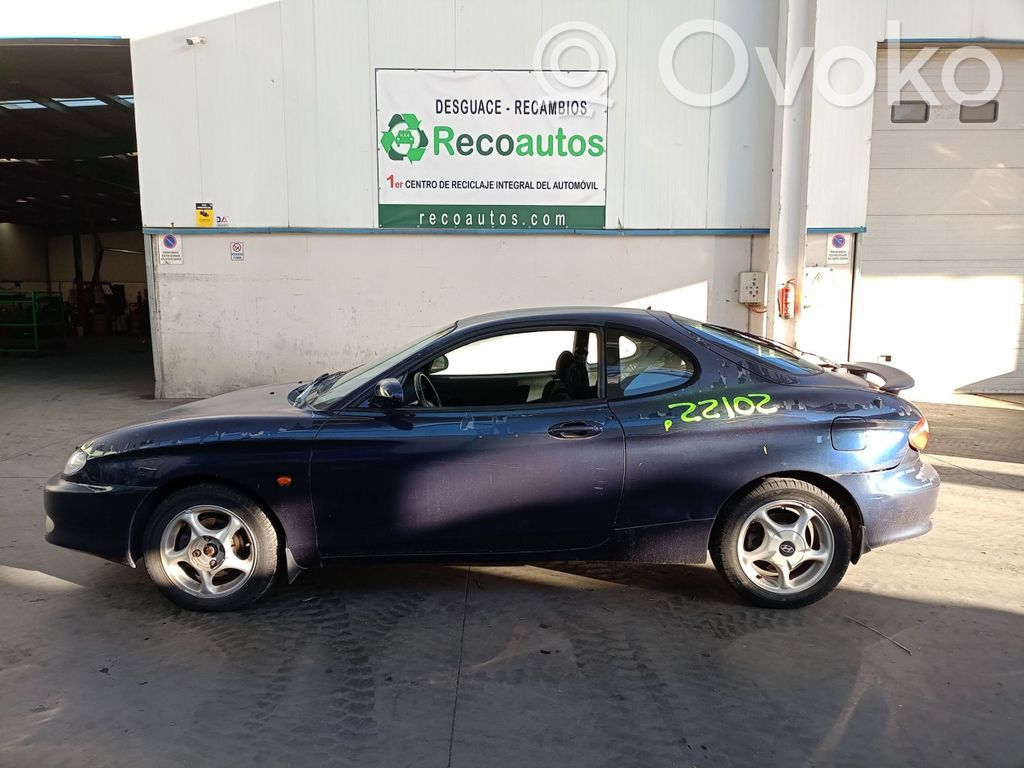 Coupe Coupe  3921023216