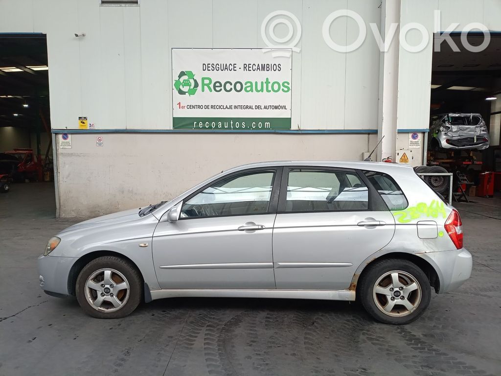 Cerato Cerato  949002F010IM