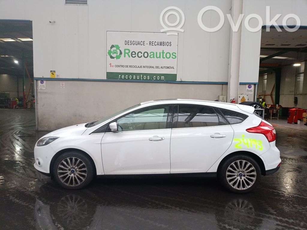 Focus Focus  1719357