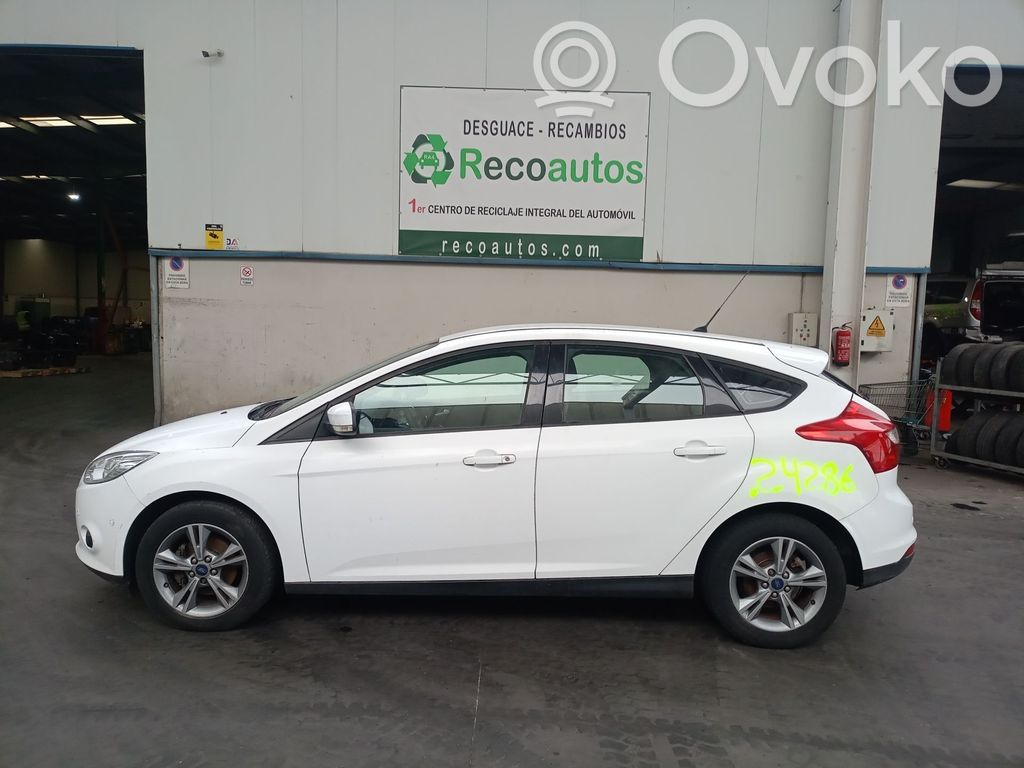 Focus Focus  CV619G444CB