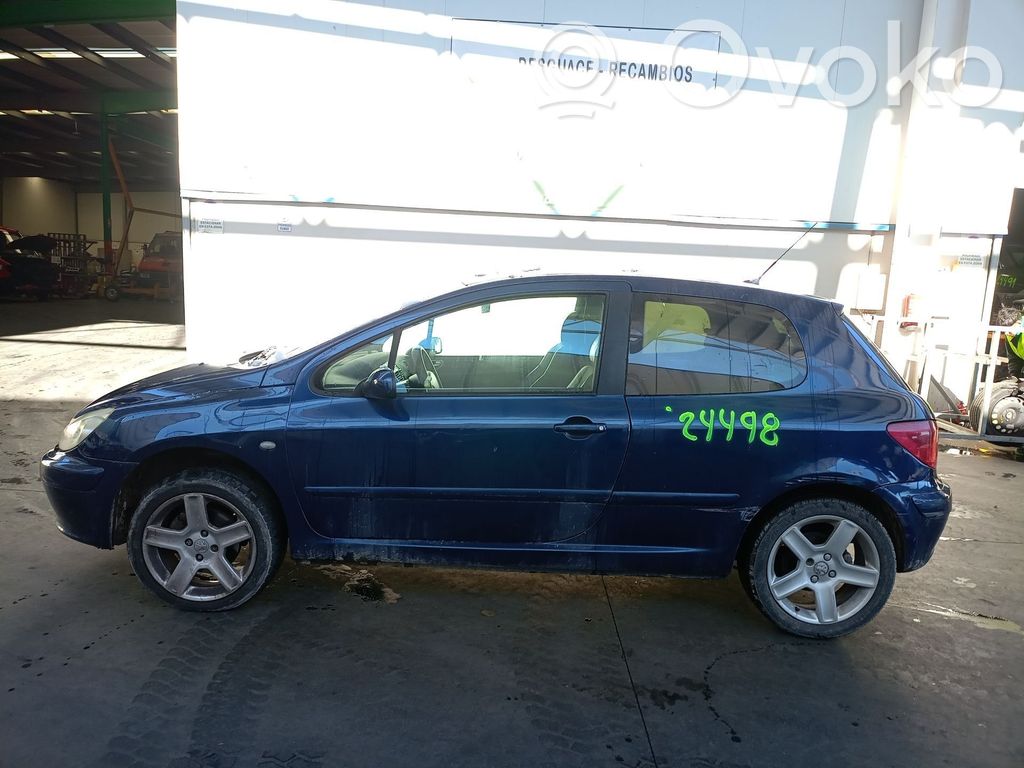 307 307  9637812980