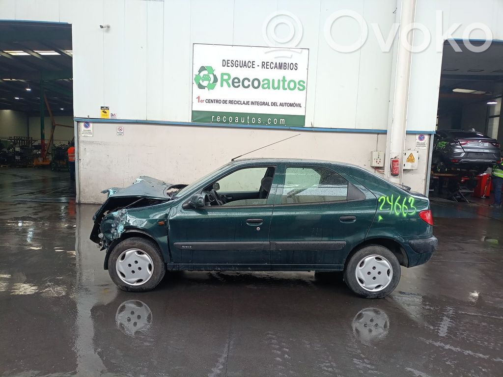 Xsara Xsara, Xsara Picasso  DHX