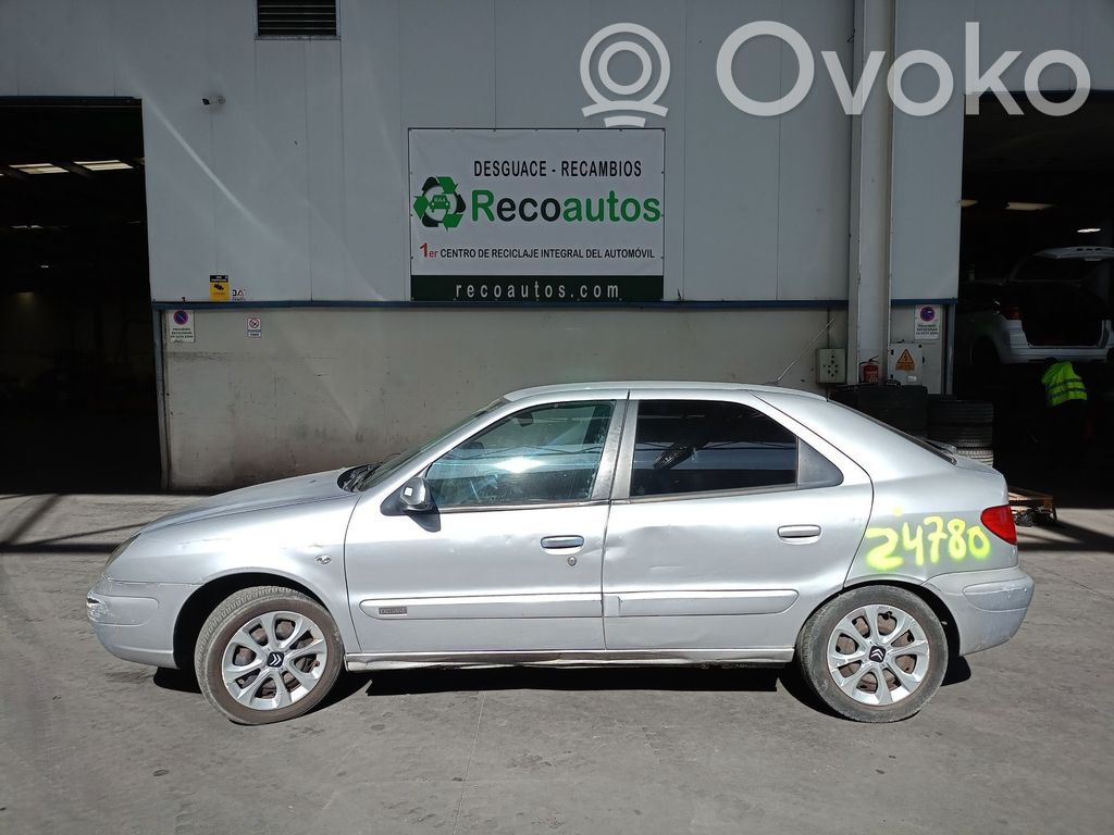 Xsara Xsara, Xsara Picasso