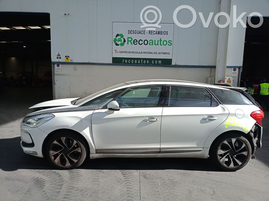 DS5 DS5  RH02
