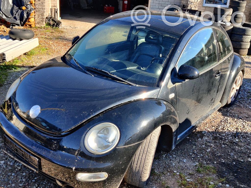 New Beetle Beetle