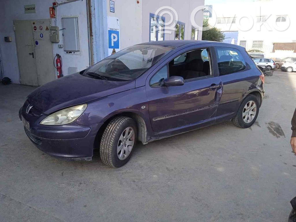 307 307  404638