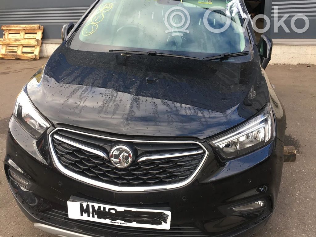 Mokka Mokka  623118