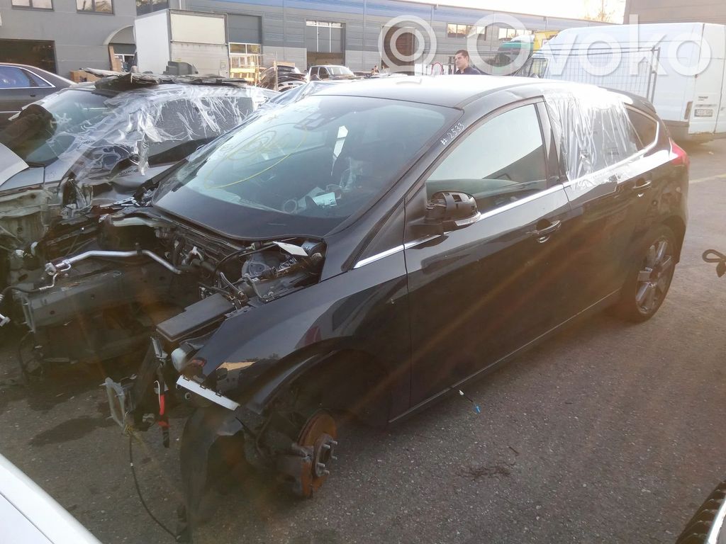 Focus Focus  V617M121