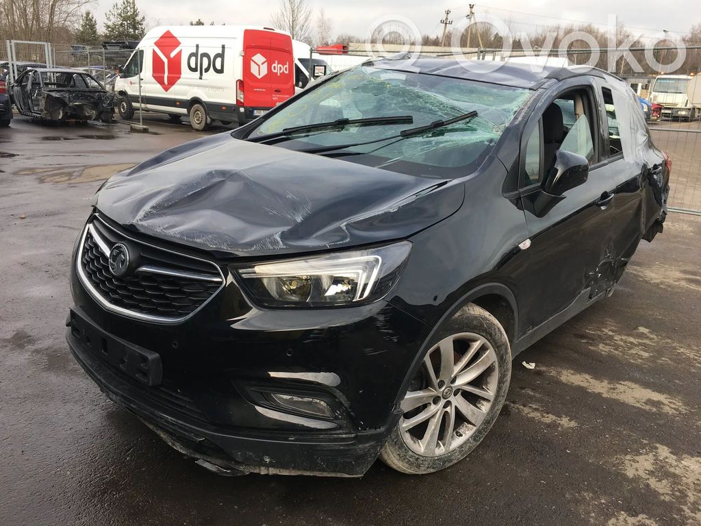 Mokka Mokka  13512359