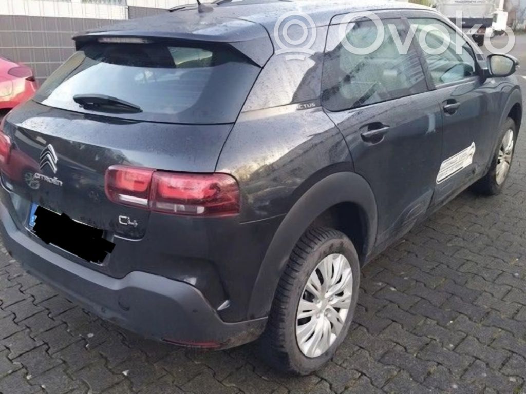 C4 Cactus C4 Picasso, Grand Picasso, Aircross, Cactus  9801740677
