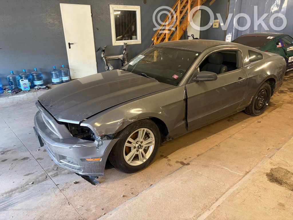Mustang V Mustang  E816K