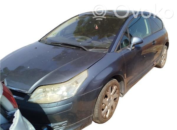 C4 I C4 Picasso, Grand Picasso, Aircross, Cactus  204051007