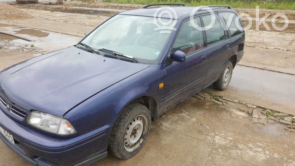 Primera Primera  694