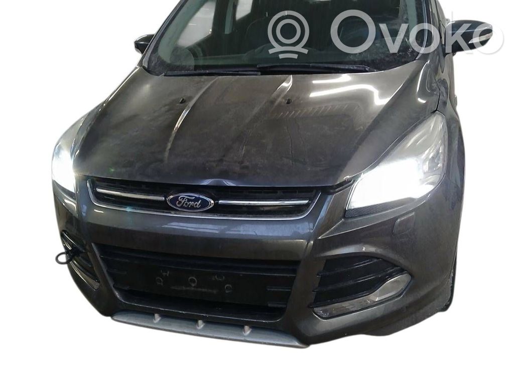 Kuga II Kuga  624690300A