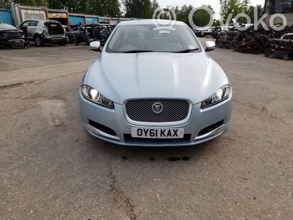 XF X250 XF  CX239D375BA