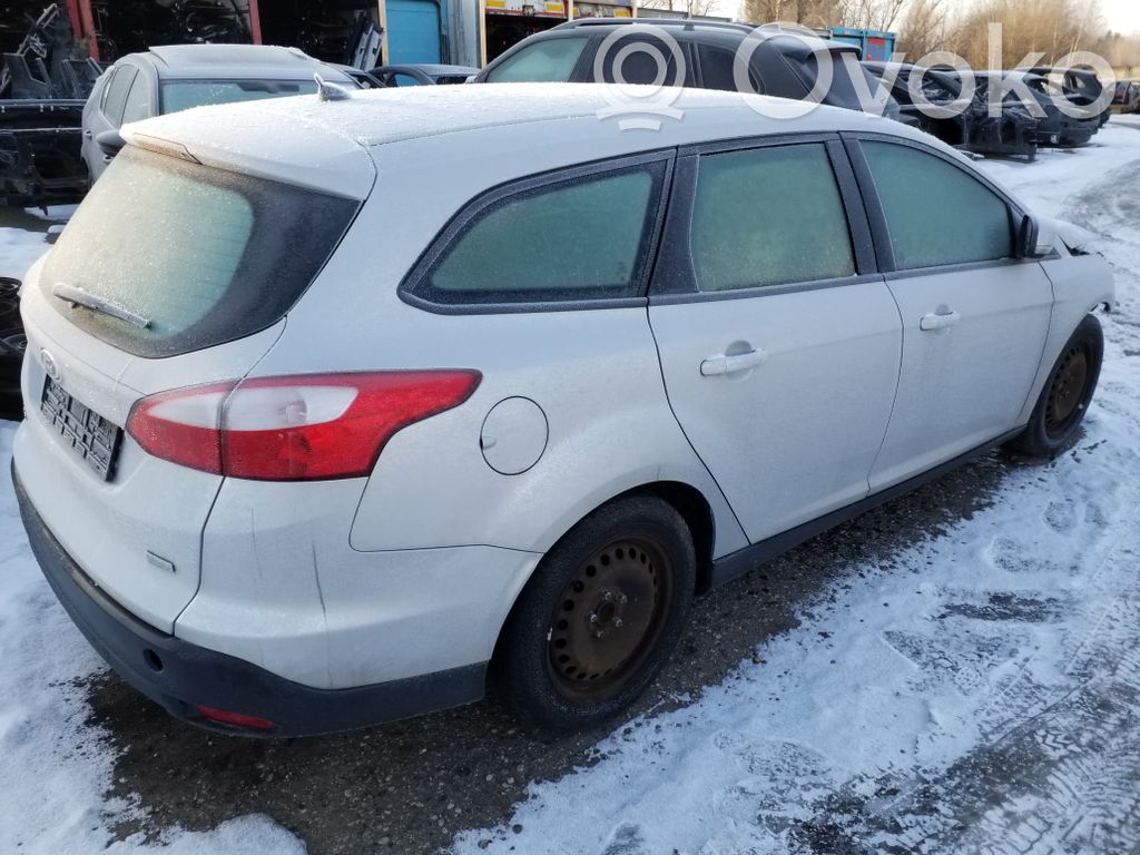 Focus Focus  BV613K155C2A