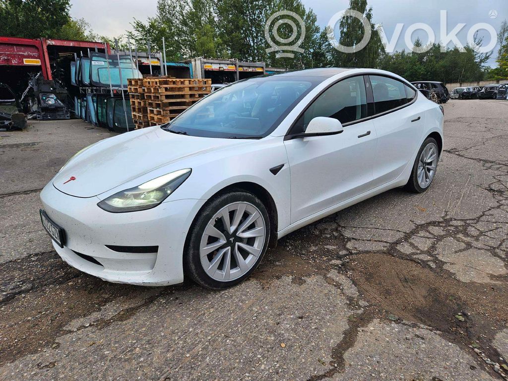Model 3 Tesla Model 3  156930300A