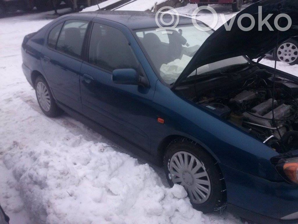 Primera Primera  0258005223