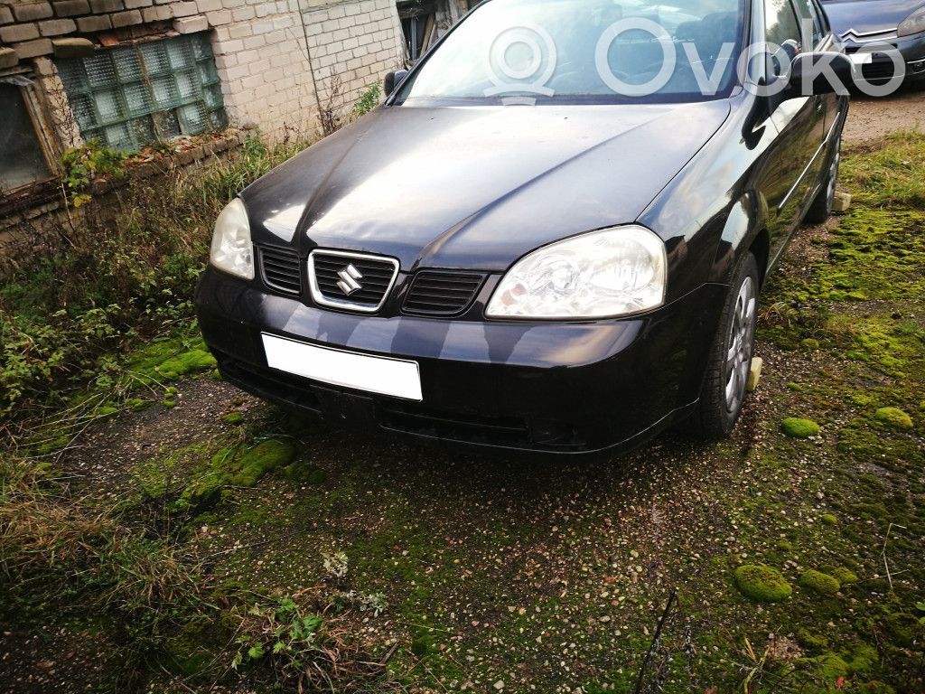 Forenza Forenza