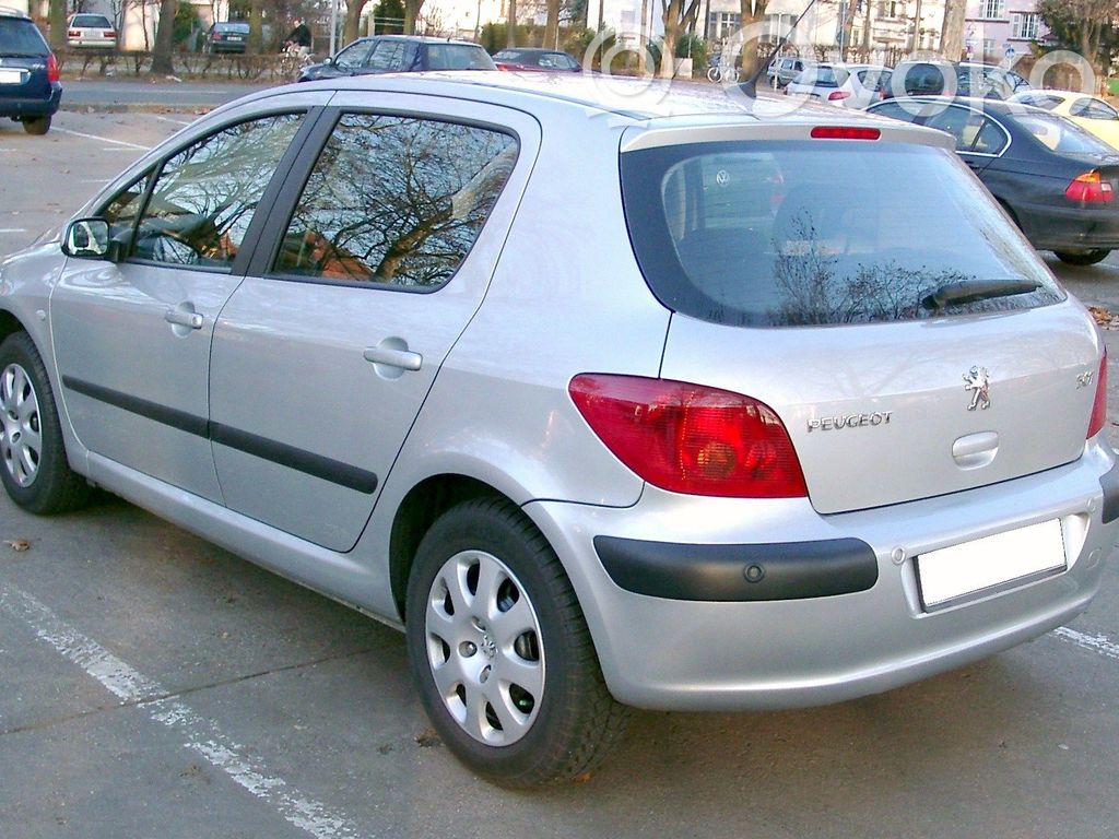 307 307  9646850580