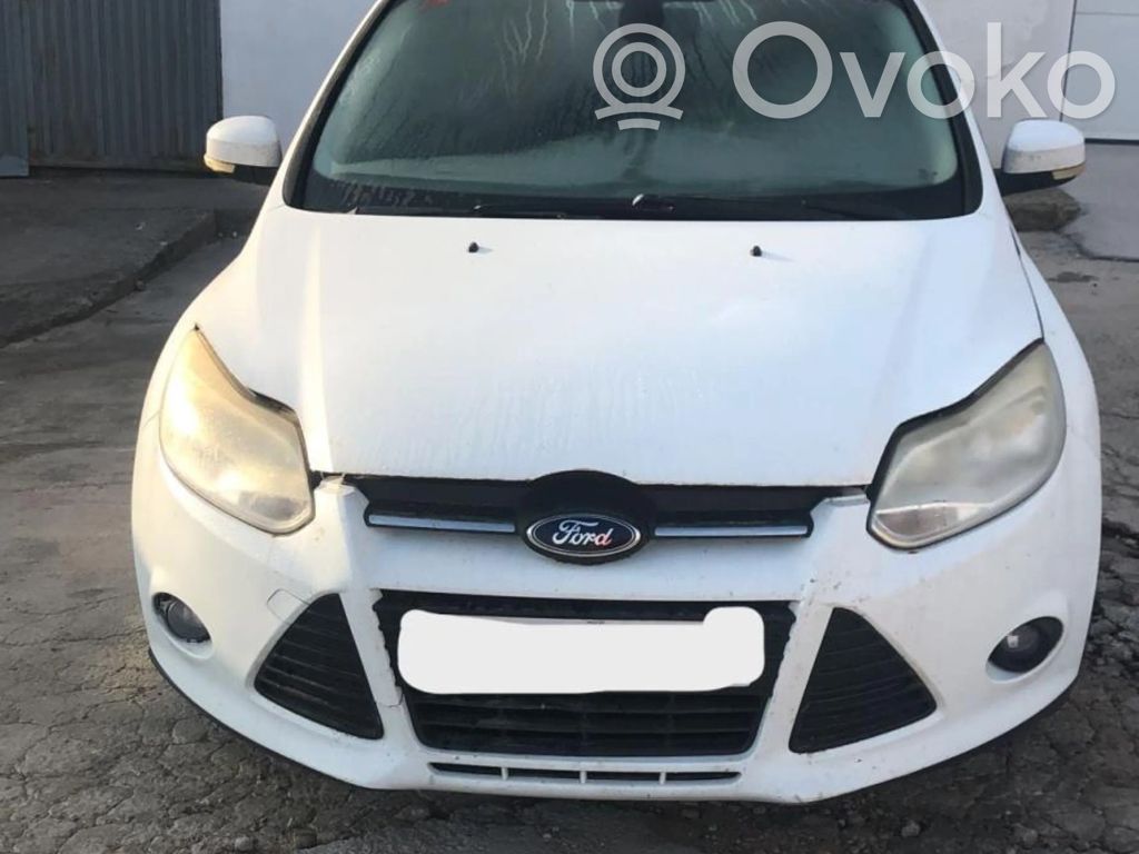 Focus Focus  1725743