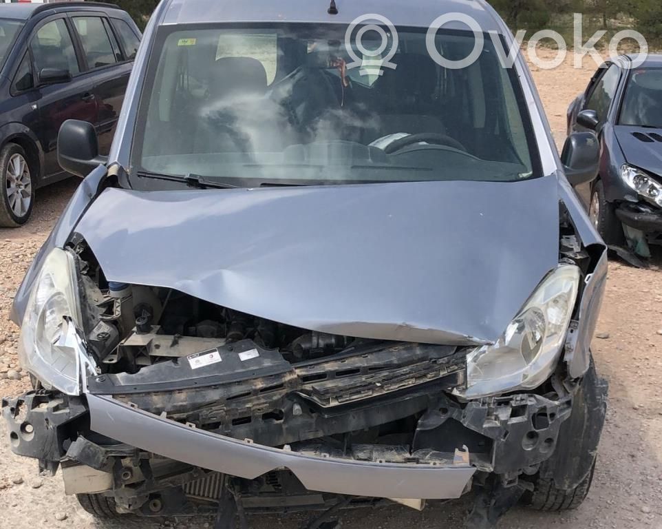 Berlingo Berlingo