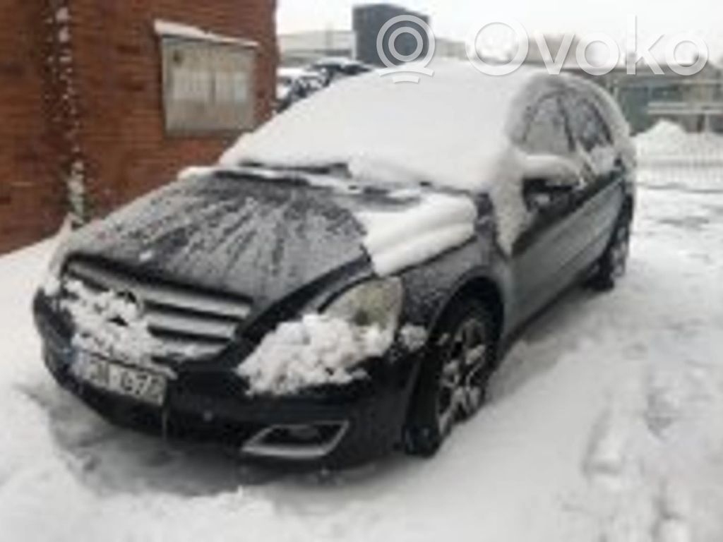 R W251 R-class, AMG (W251)
