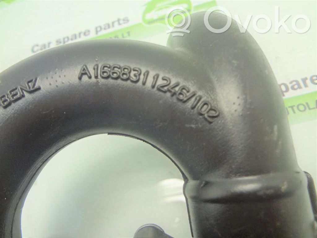 ML W166 ML-class, AMG (W163, W164, W166)