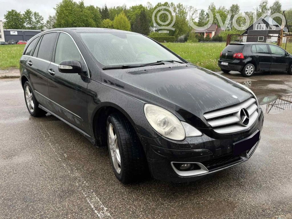 R W251 R-class, AMG (W251)