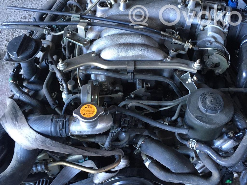 FX FX  VK45