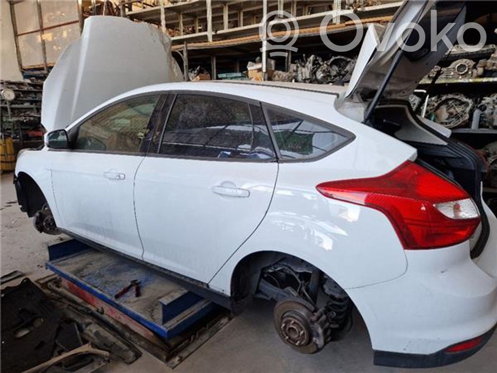 Focus Focus  BV6T13N064AF