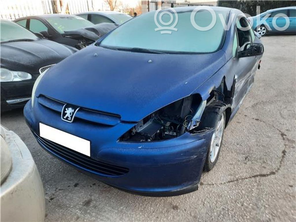 307 CC 307